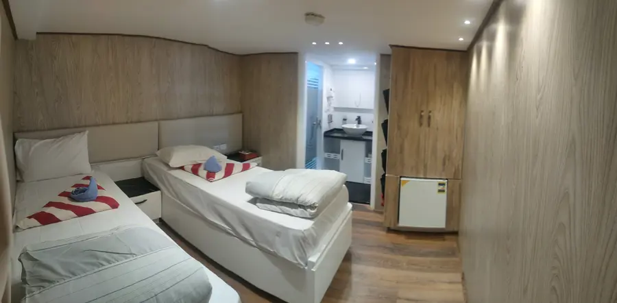Twin Bed/ Double Bed